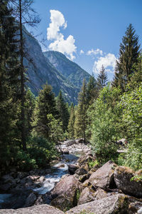 Val di mello. scenic view of waterfall in forest against sky