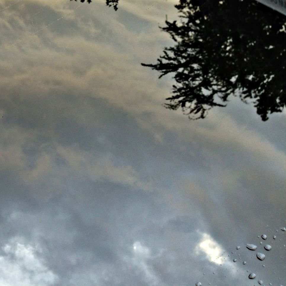 sky, cloud - sky, low angle view, cloudy, tree, weather, tranquility, nature, cloud, overcast, beauty in nature, scenics, branch, silhouette, tranquil scene, outdoors, day, no people, dusk, storm cloud