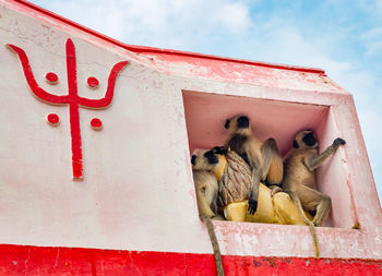 Leaf monkeys sitting at holy goddess tiger statue at temple entrance gate