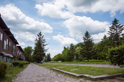 Scenic view of trees against sky