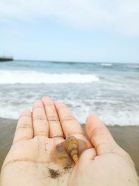 Close-up of hand holding crab at beach against sky