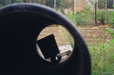 Close-up of hands in park