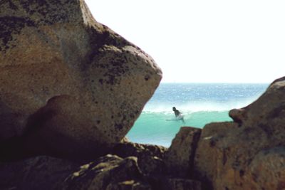 Close-up of bird perching on rock by sea against clear sky