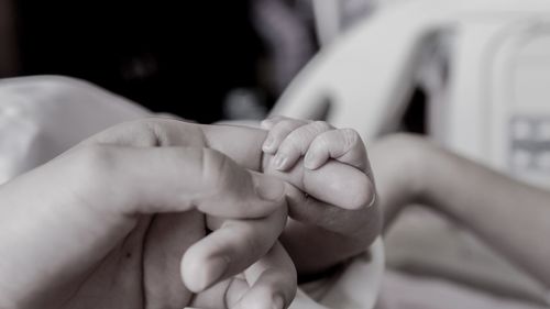 Close-up of father holding baby hand