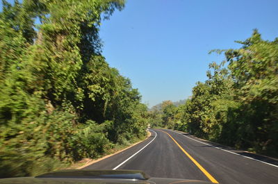 Road amidst trees against clear sky