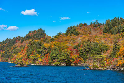 Scenic view of autumn trees against sky