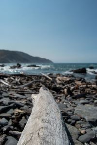 Close-up of driftwood on beach against clear sky