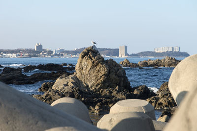 Scenic view of sea by city against clear sky