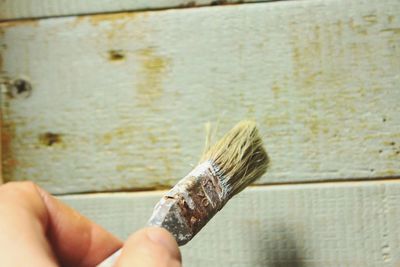Cropped hand holding paintbrush by wooden wall