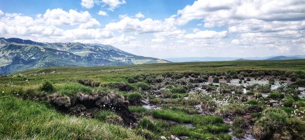 Scenic view of landscape against sky