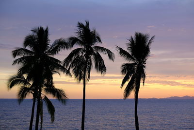 Silhouette palm tree by sea against sky at sunset