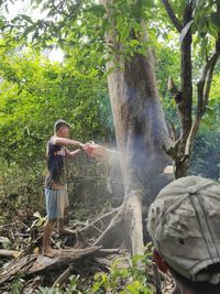 Cutting wood in tropical forest areas was a common source of life during the civid-19 epidemic