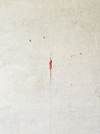 Close-up of red wall