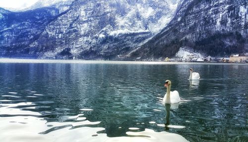 Scenic view of frozen lake