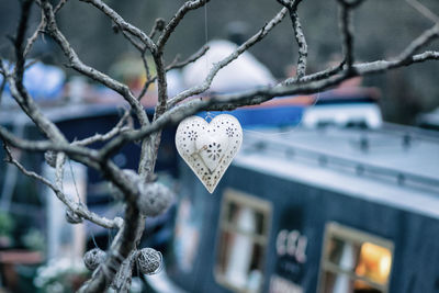 Close-up of heart shape metal hanging on bare tree