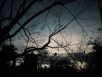 Silhouette trees against sky at dusk
