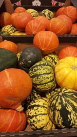 Close-up of pumpkins in market