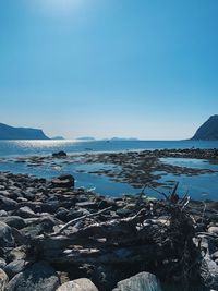 Scenic view of sea against clear sky