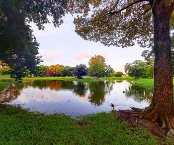 Scenic view of lake against sky