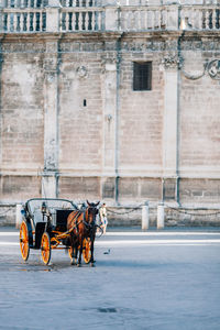 Horse cart against brick wall