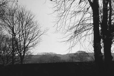 Silhouette bare trees on field against sky