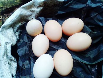High angle view of eggs in container