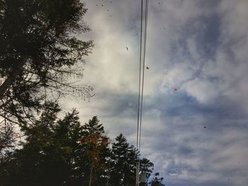 Low angle view of trees against sky