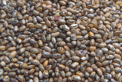 Full frame shot of harisa beans