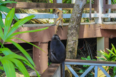 Bird perching on plant