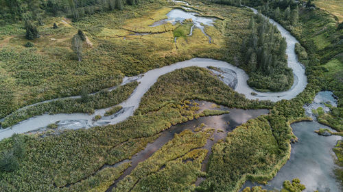 High angle view of stream amidst trees in forest