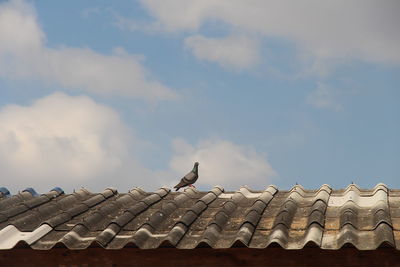 Low angle view of birds perching on roof against sky