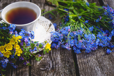 High angle view of purple flowering plant on table