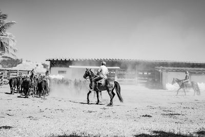 Men riding horse