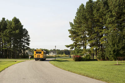 School bus moving on street against sky during sunny day