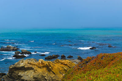 Scenic view of sea against clear sky