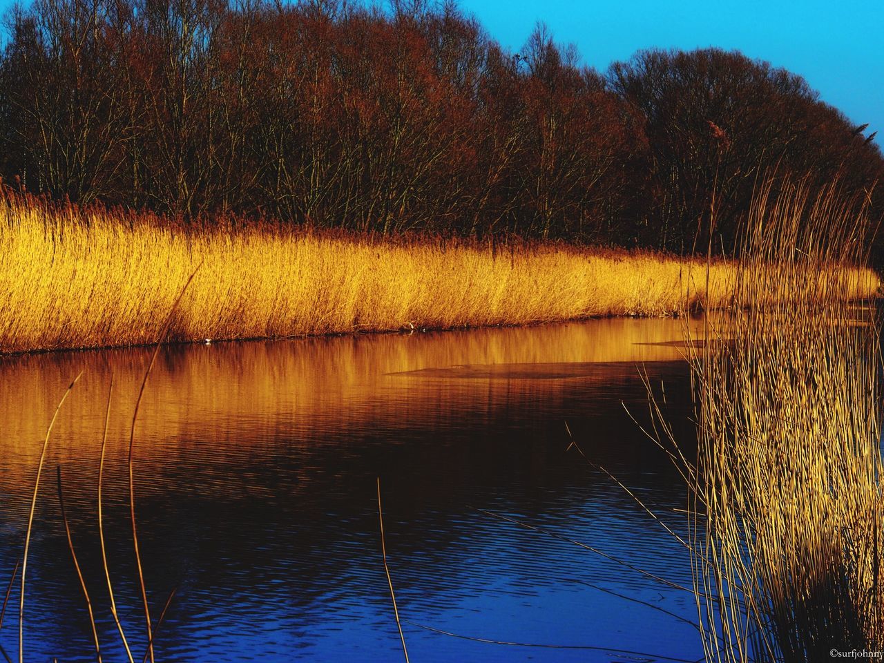 SCENIC VIEW OF LAKE