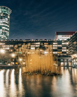 Plants in river against illuminated buildings at night