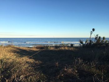 Scenic view of sea against clear blue sky