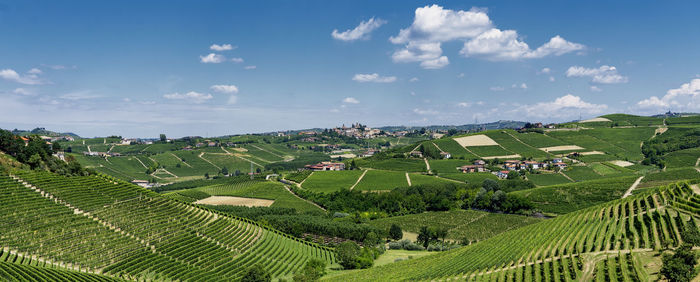 Scenic view of agricultural field against sky