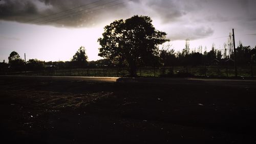 Trees on field against cloudy sky