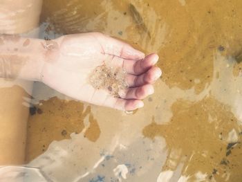 Low section of person feeding at beach