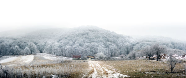 Shelter for animals on the edge of the forest, in winter in tran