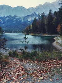 Scenic view of lake and mountains