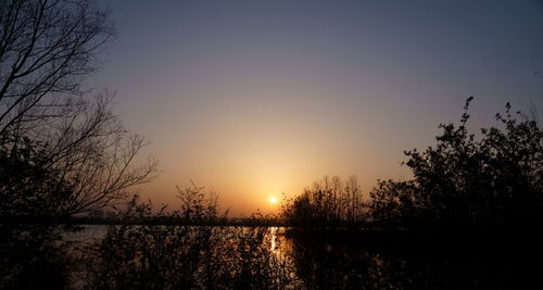 Silhouette plants by lake against sky during sunset