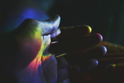 Close-up of hand holding purple flower