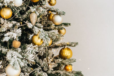 Close-up of christmas tree