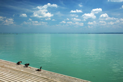 Scenic view of sea against sky