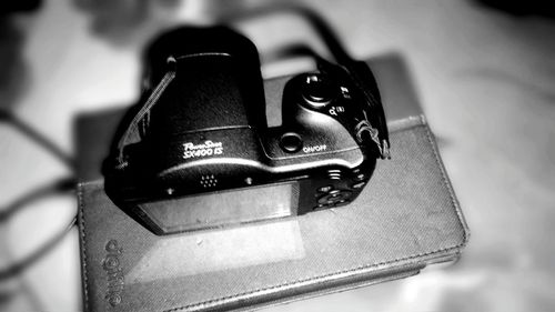 Close up of plant against blurred background