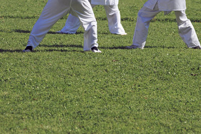 Low section of men exercising on grassy field