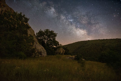 Scenic view of field against sky at night